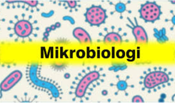 Pengertian Mikrobiologi