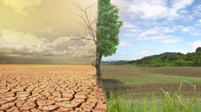 Dampak Pemanasan Global