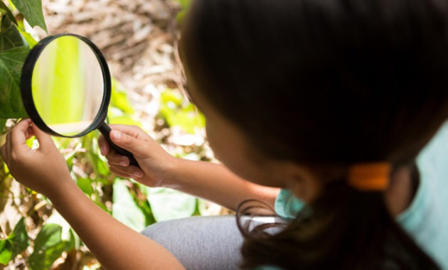 Pengertian Observasi  Jenis  Jenis  Ciri Ciri dan 