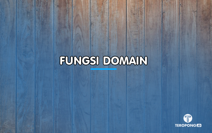 Fungsi Domain