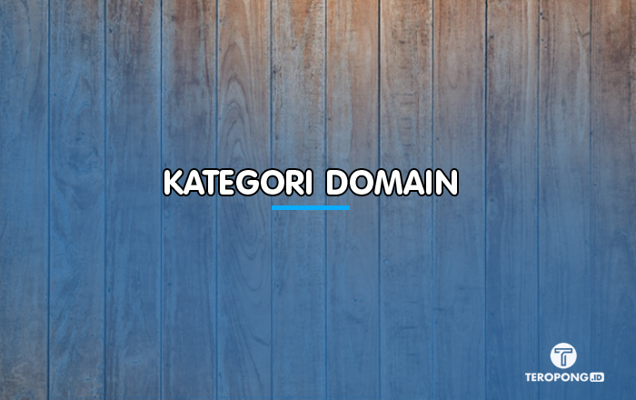 Kategori Domain