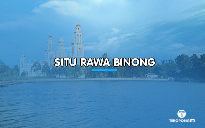Situ Rawa Binong