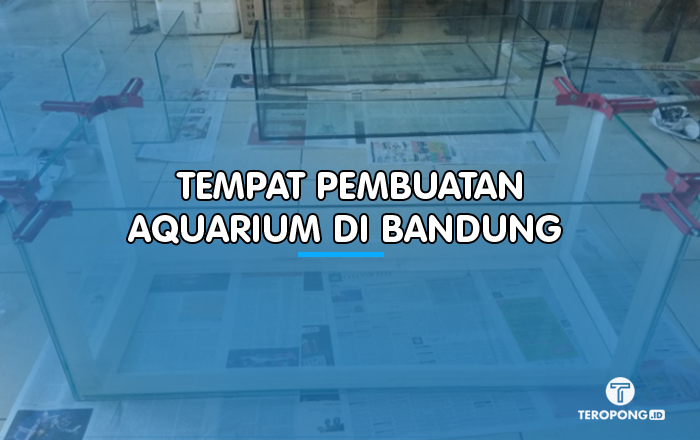 Tempat Pembuatan Aquarium di Bandung